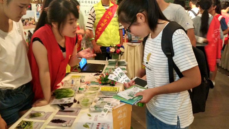 绿色生活项目展示现场 绿色生活项目展示现场